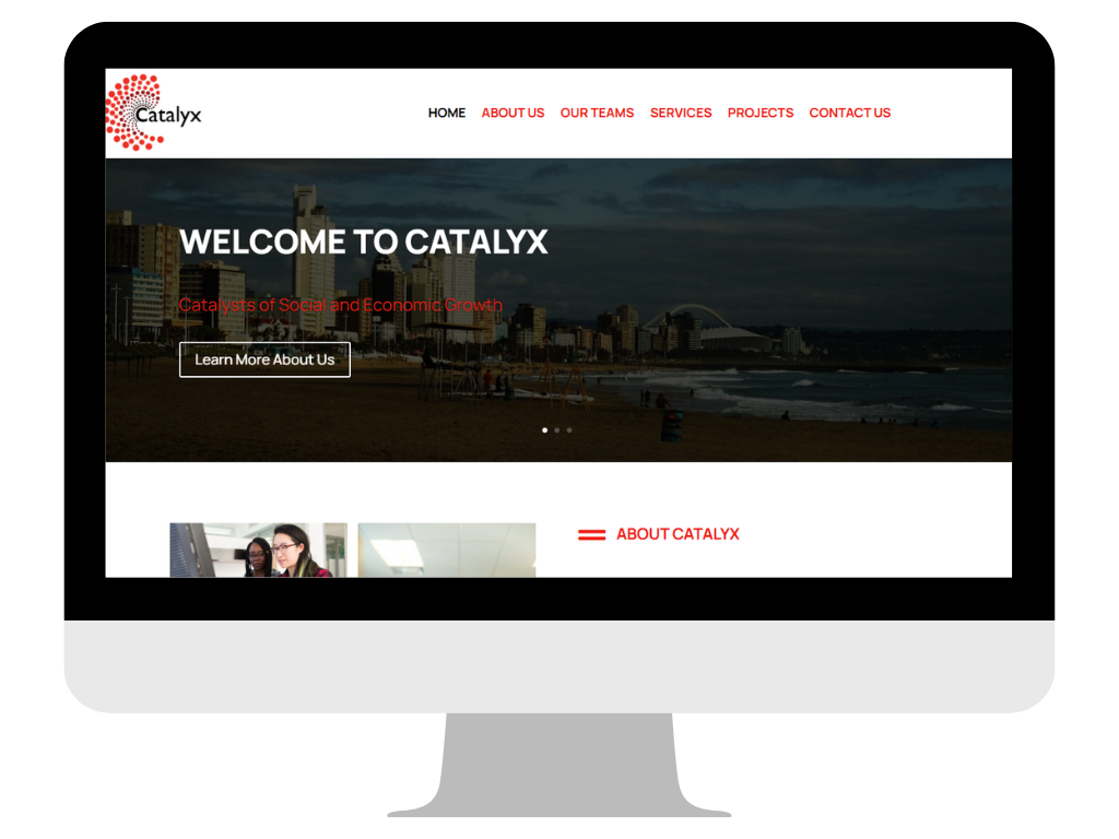 RAESS Website Design by Pinkfrog