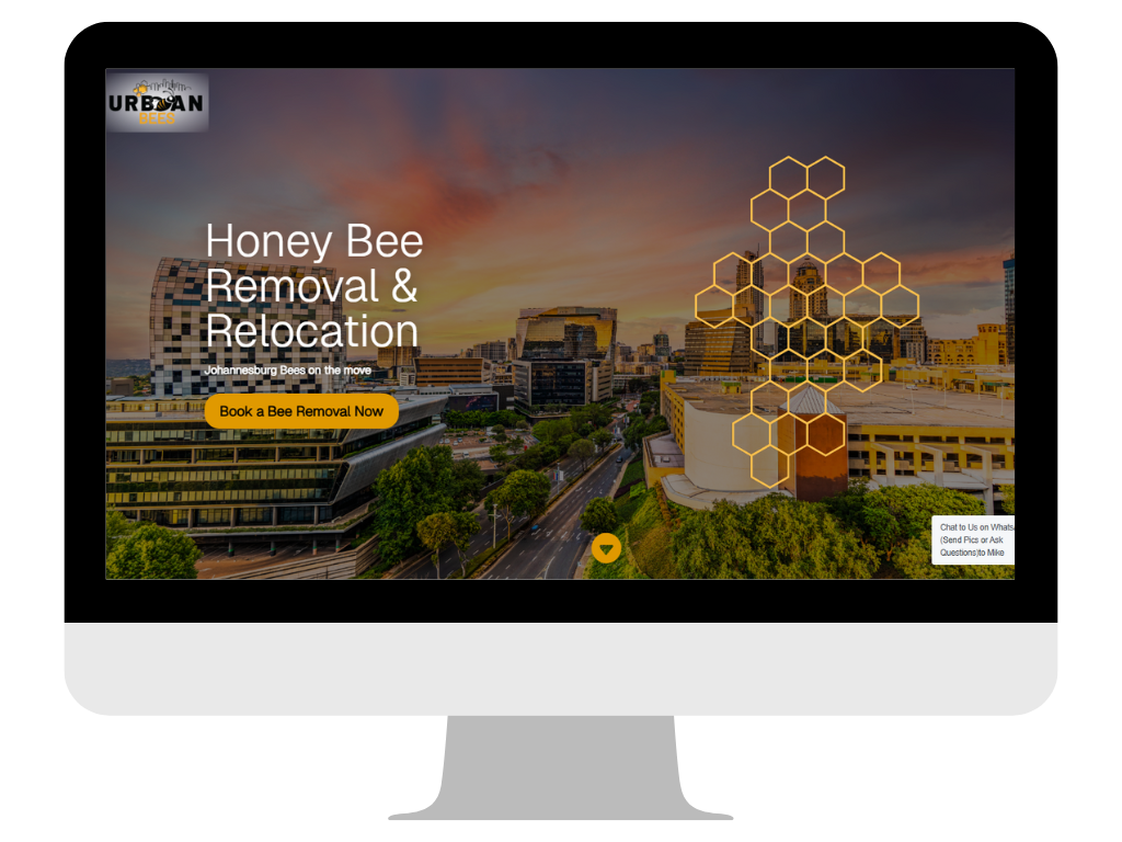 RAESS Website Design by Pinkfrog